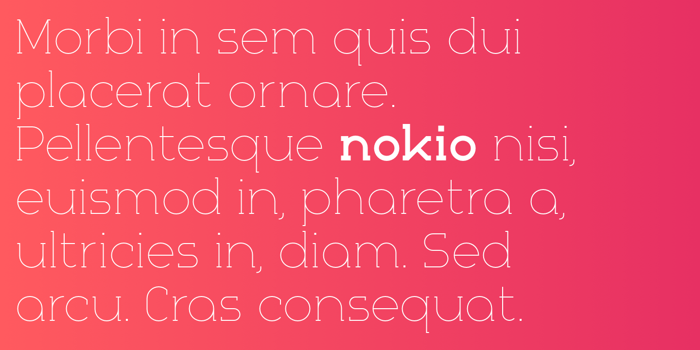 Example font Nokio Slab #8